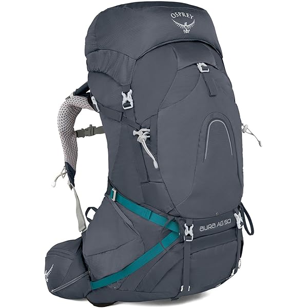 Amazon.co.jp: OSPREY(オスプレー) アーケオン30 OS54023 ヘイ